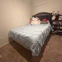 Norma's room