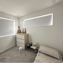 Sheba's room