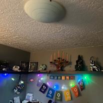 Wryn Lydy's room