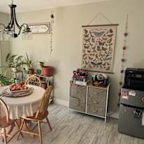 Ainsley Stapleton's room