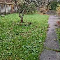 Fiona's room