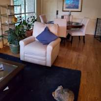 Judy's room