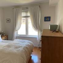 Ant's room
