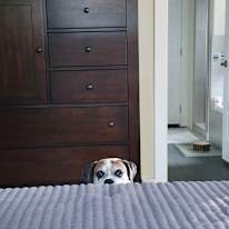 Erin's room