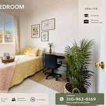 Hai's room