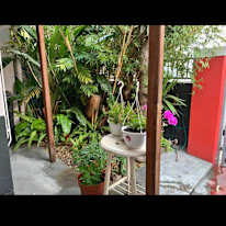 Mag's room