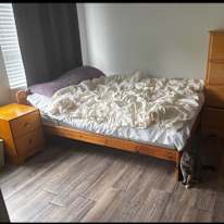 Amy's room