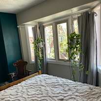 Alicia's room