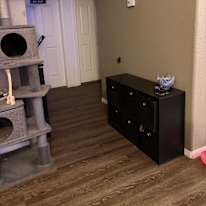 Chiara's room
