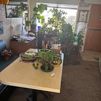 Carol's room