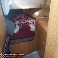 Paul's room