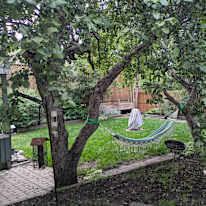 Andrew Olivier's room