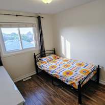 Andrew D's room