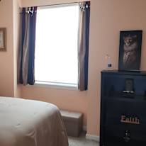 Liz S's room