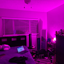Paul's room