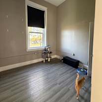 Alison's room