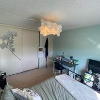 Andrew Finch's room