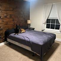 Richard's room