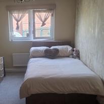 Shelly's room