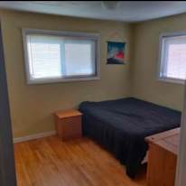 Tree's room