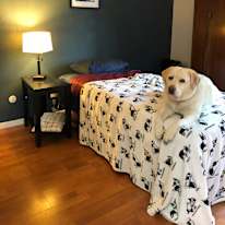 Brian's room