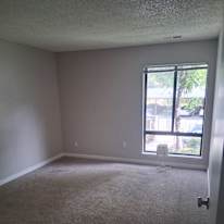 Frank's room