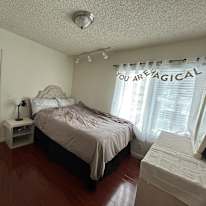 Shaunes's room