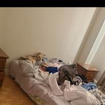 kj kj's room