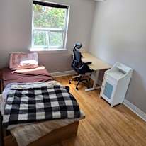 Hisham's room