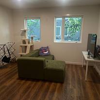 Brando's room