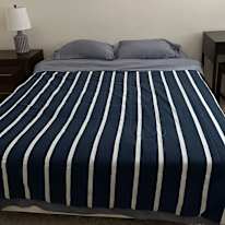 Ann's room