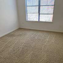 Tedd's room