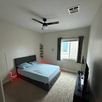 Solomon's room