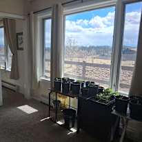Brandi Arts's room