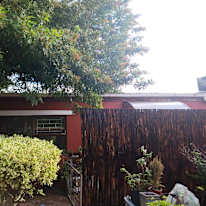 Peter's room