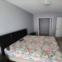 frank's room