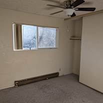 Noah's room