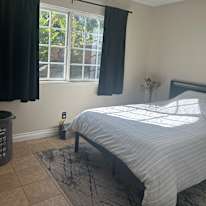 ladan Amin's room