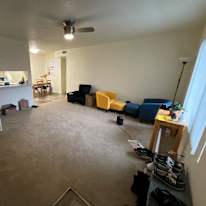 Evelyn's room