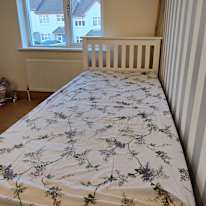 Alan Noronha's room
