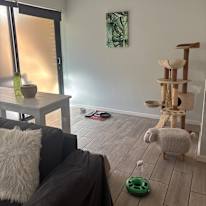 Mitalia's room