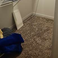 Sarah Guerrero's room