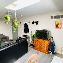 Jayne's room