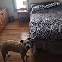 joel's room