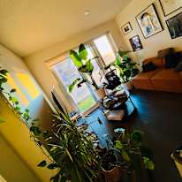 Nicoy Davis's room