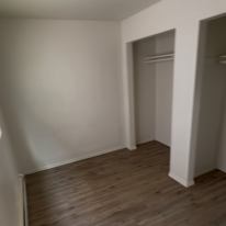 Griffon's room