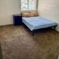 Matt's room