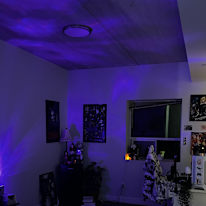 Mya Burrows's room