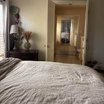 Nicola's room