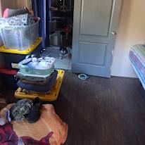 Cheryle Ellsworth's room